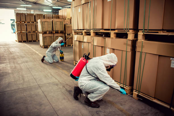 Best Wasp Removal Services  in Laurel Hill, VA