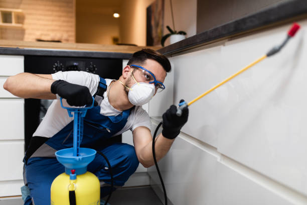 Best Pest Prevention Services  in Laurel Hill, VA