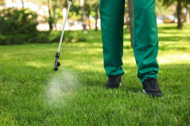 Best Bed Bug Extermination  in Laurel Hill, VA