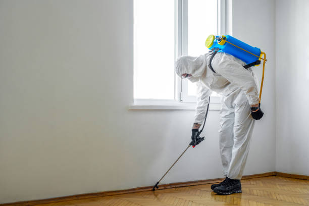 Best Ant Control Services  in Laurel Hill, VA