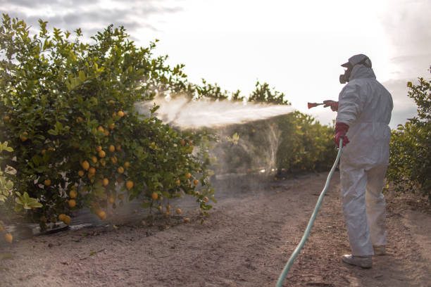 Best Wildlife Control Services  in Laurel Hill, VA