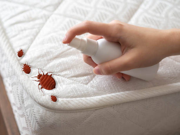 Best Best Pest Control Near Me  in Laurel Hill, VA