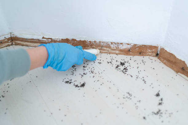 Wildlife Control Services in Laurel Hill, VA